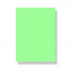 Chart Paper (Light green)